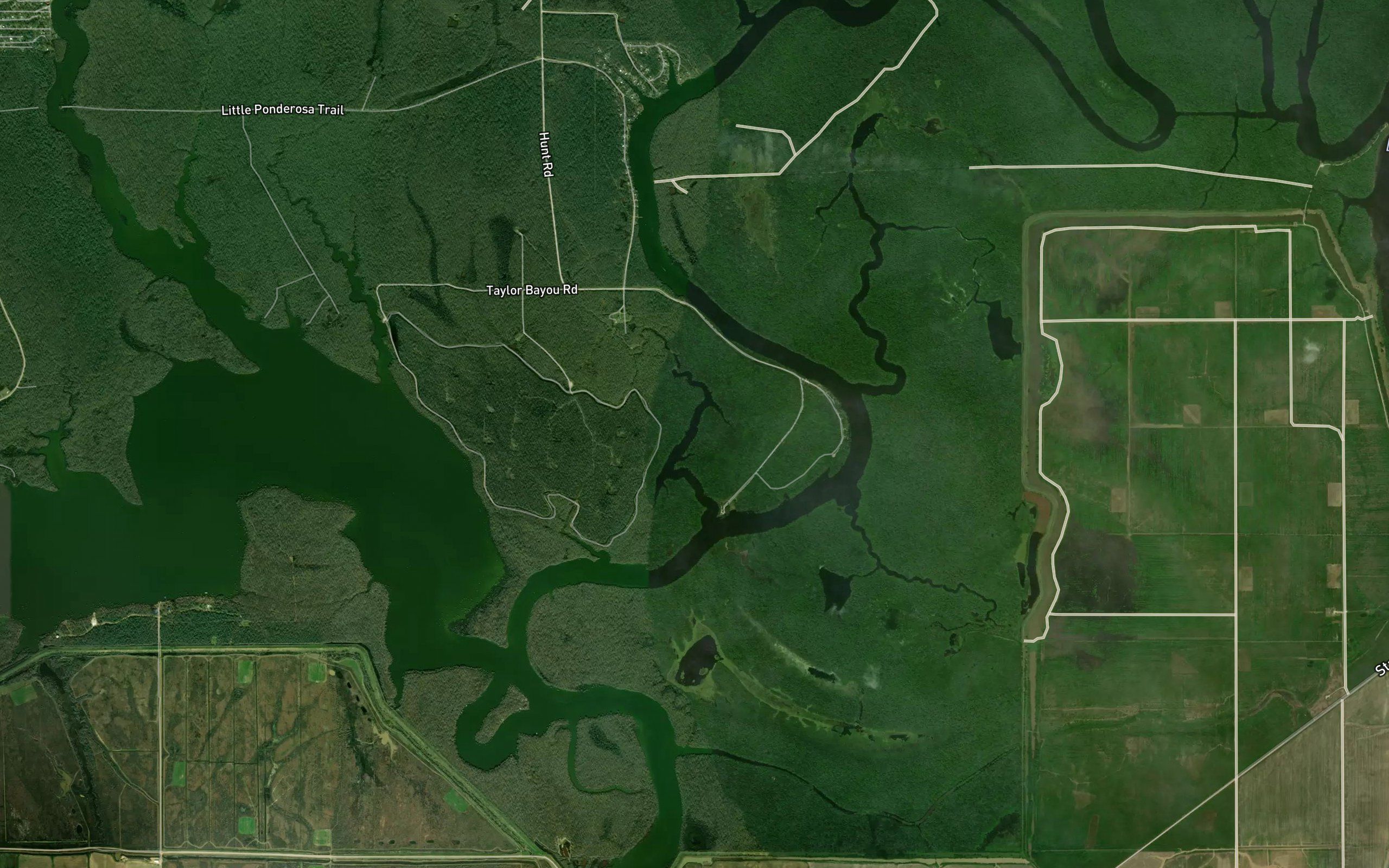 Dry Open Bayou