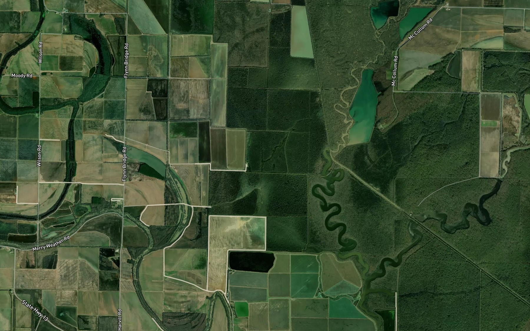 Satellite map of the Flynn Slough