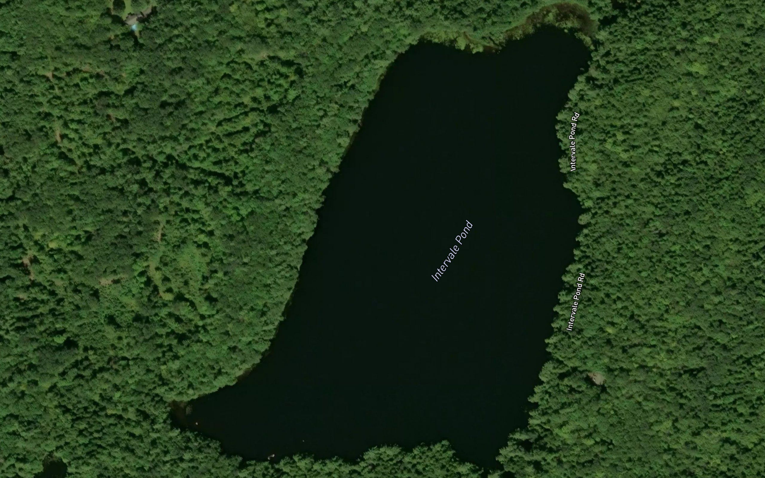Intervale Pond