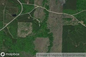Williams Creek