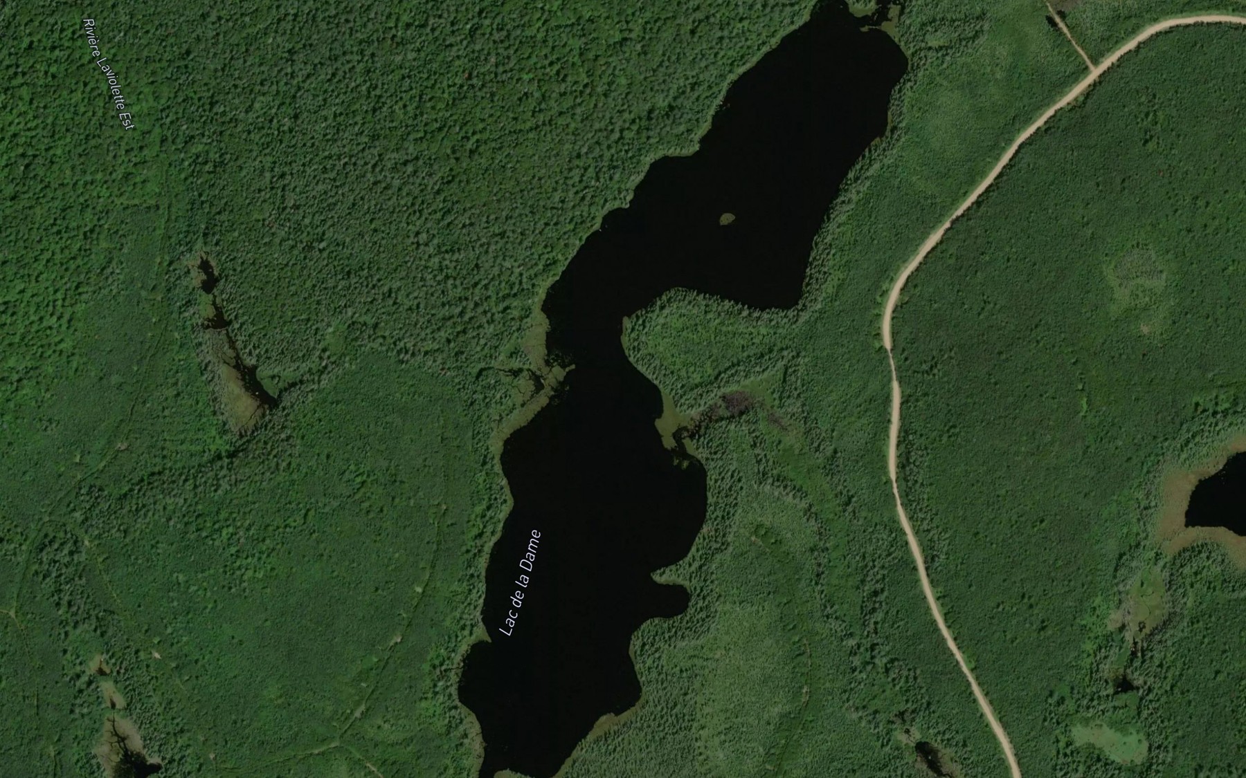 Satellite map of the Lac de la Dame