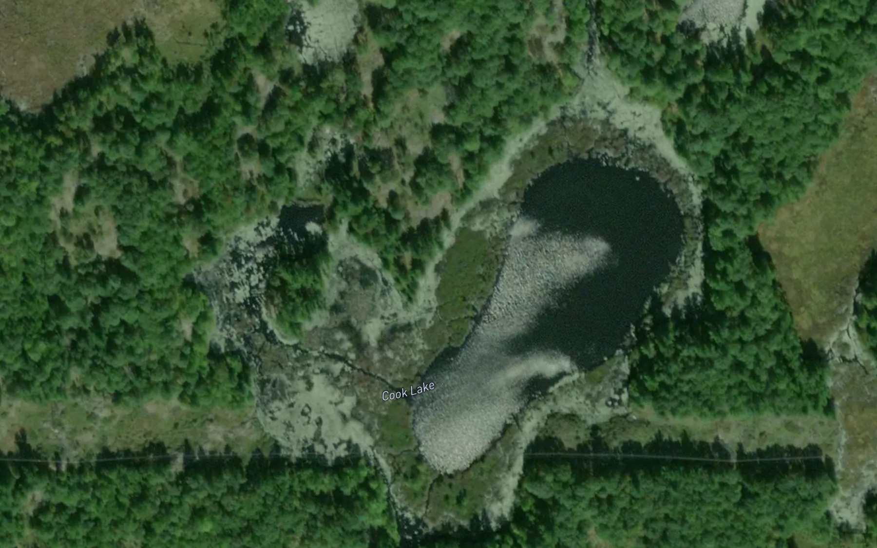 Satellite map of the Cook Lake