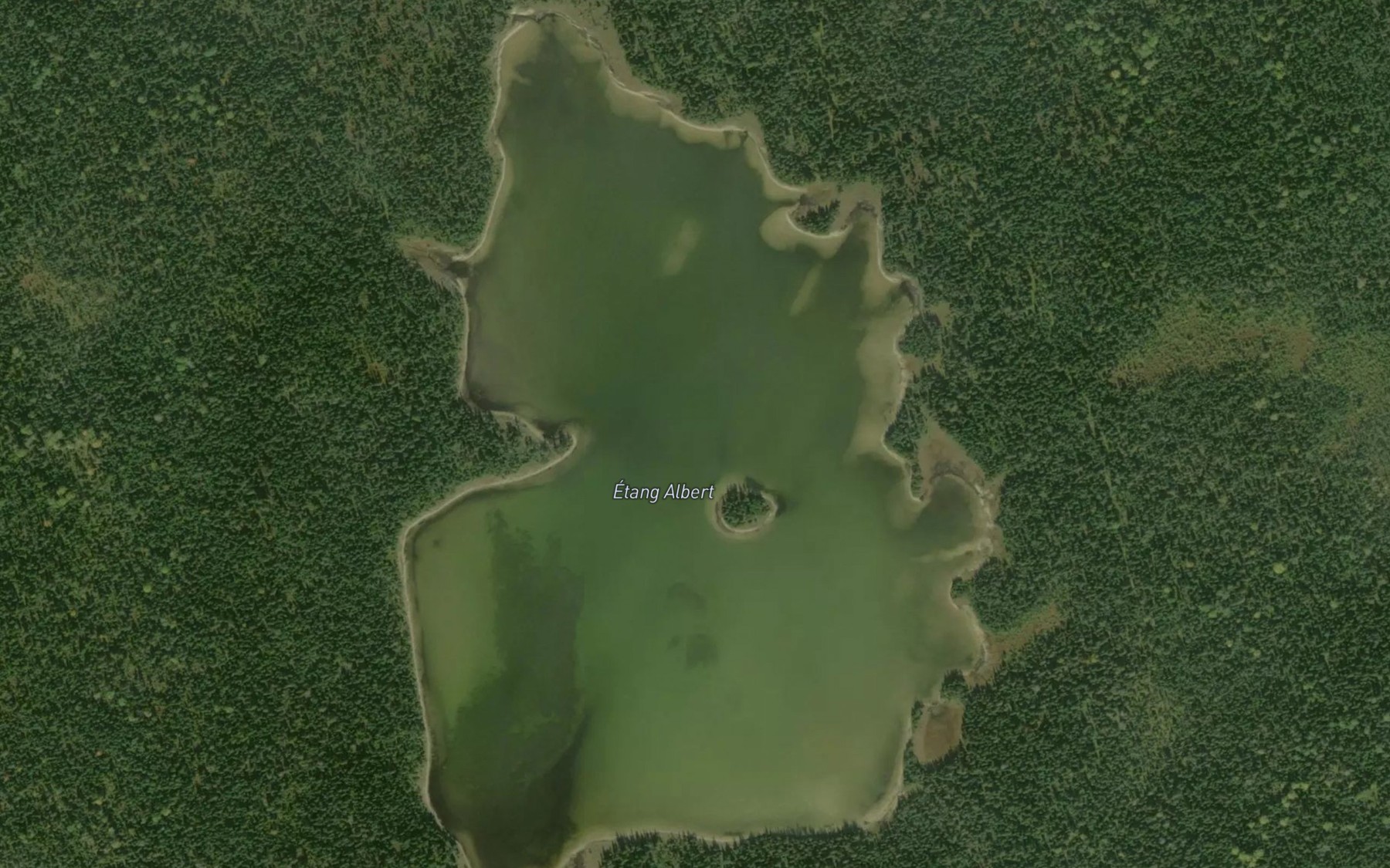 Satellite map of the Etang Albert