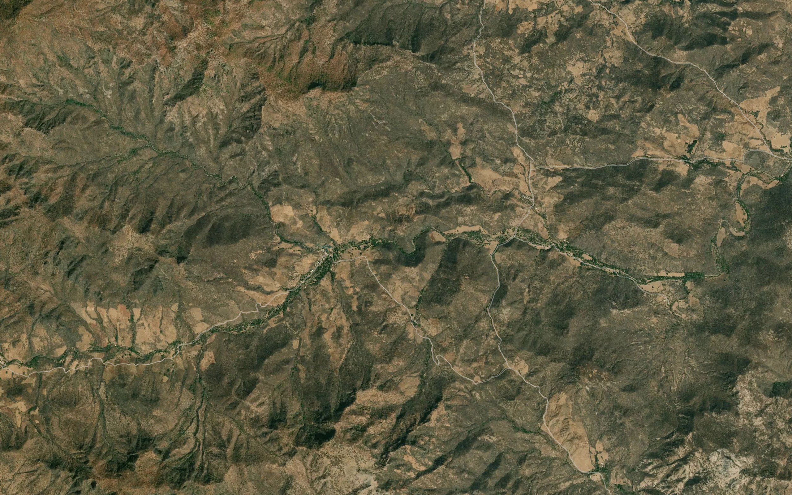 El Sauz