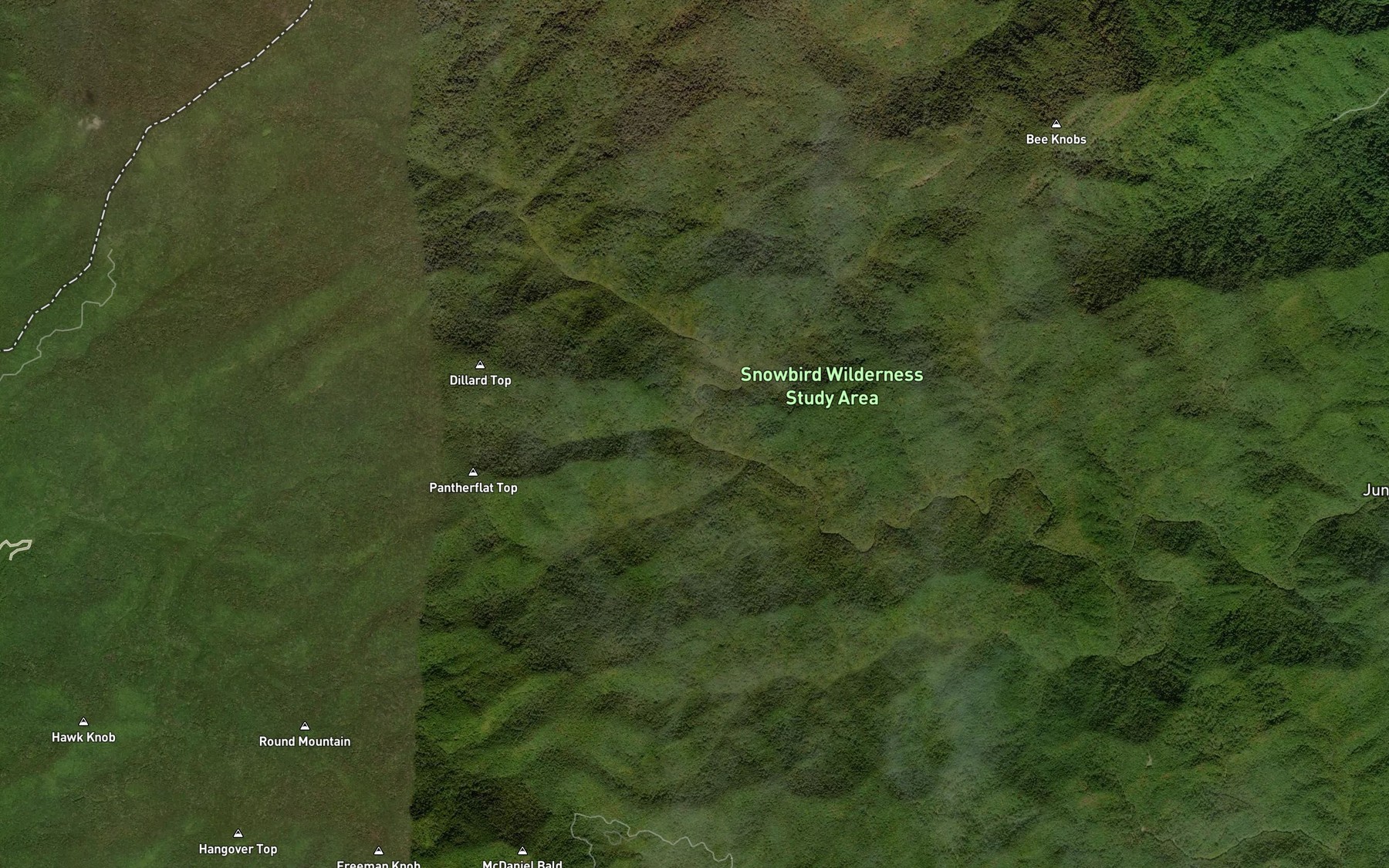 Satellite map of the Pantherflat Branch