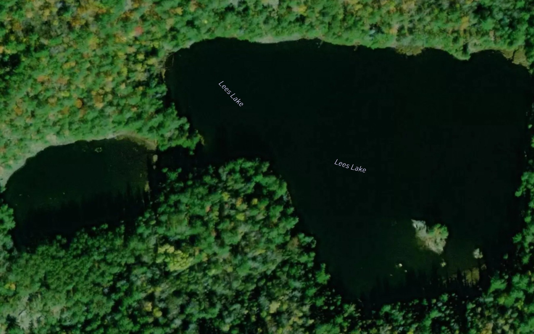 Satellite map of the Lees Lake
