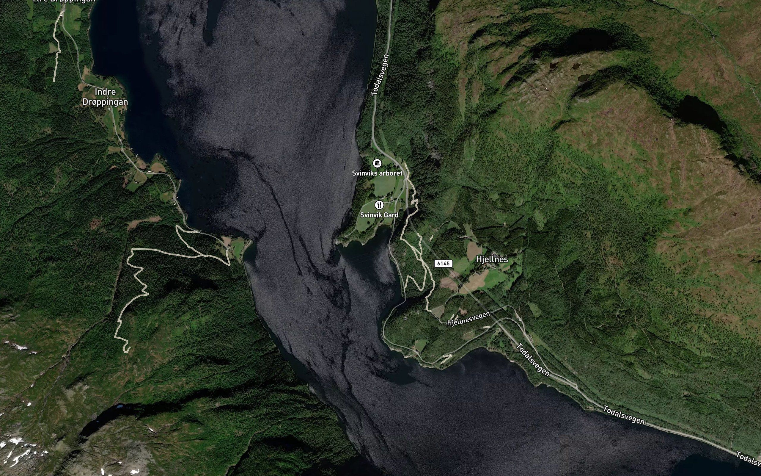 Svinvika