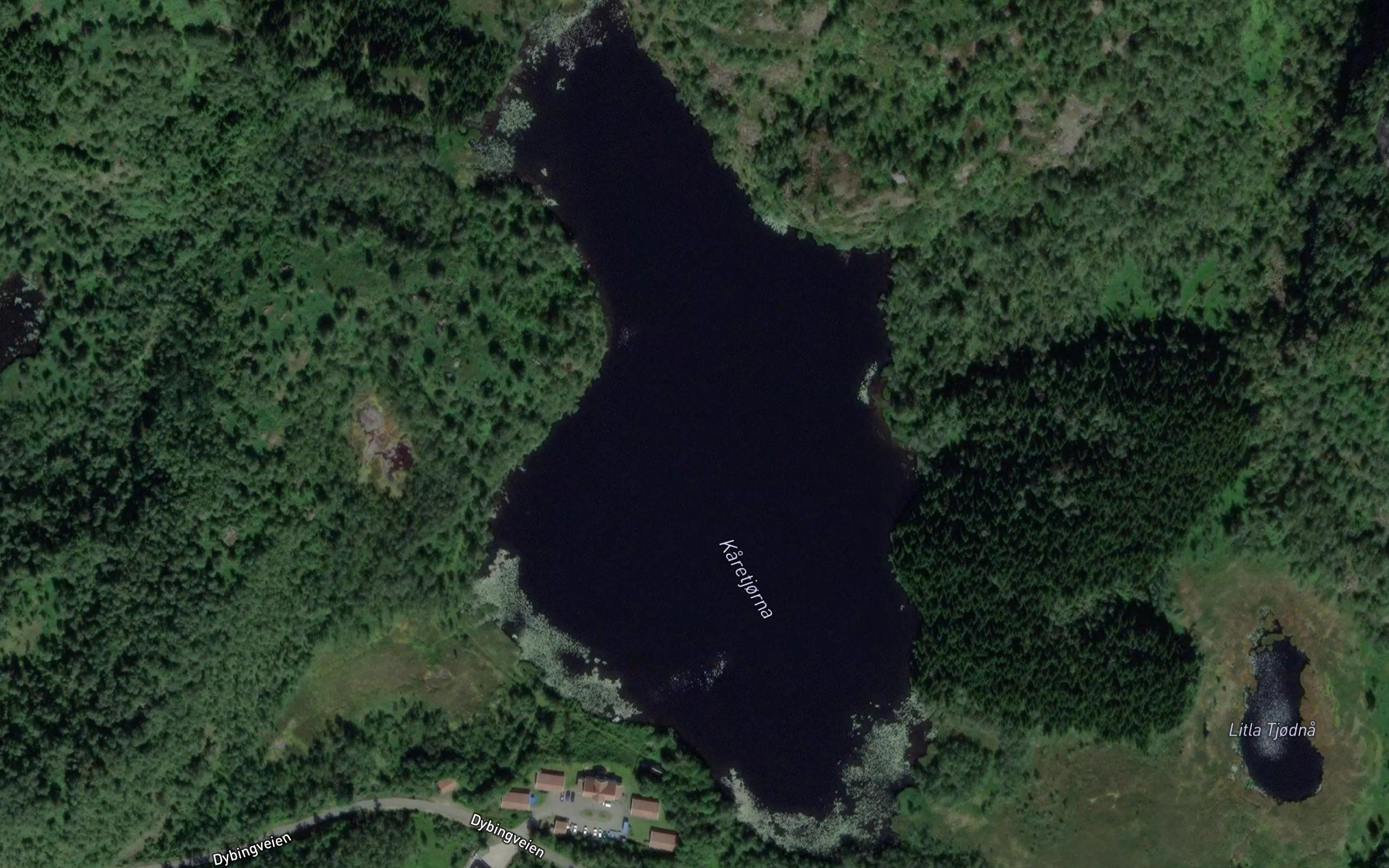 Karetjorni