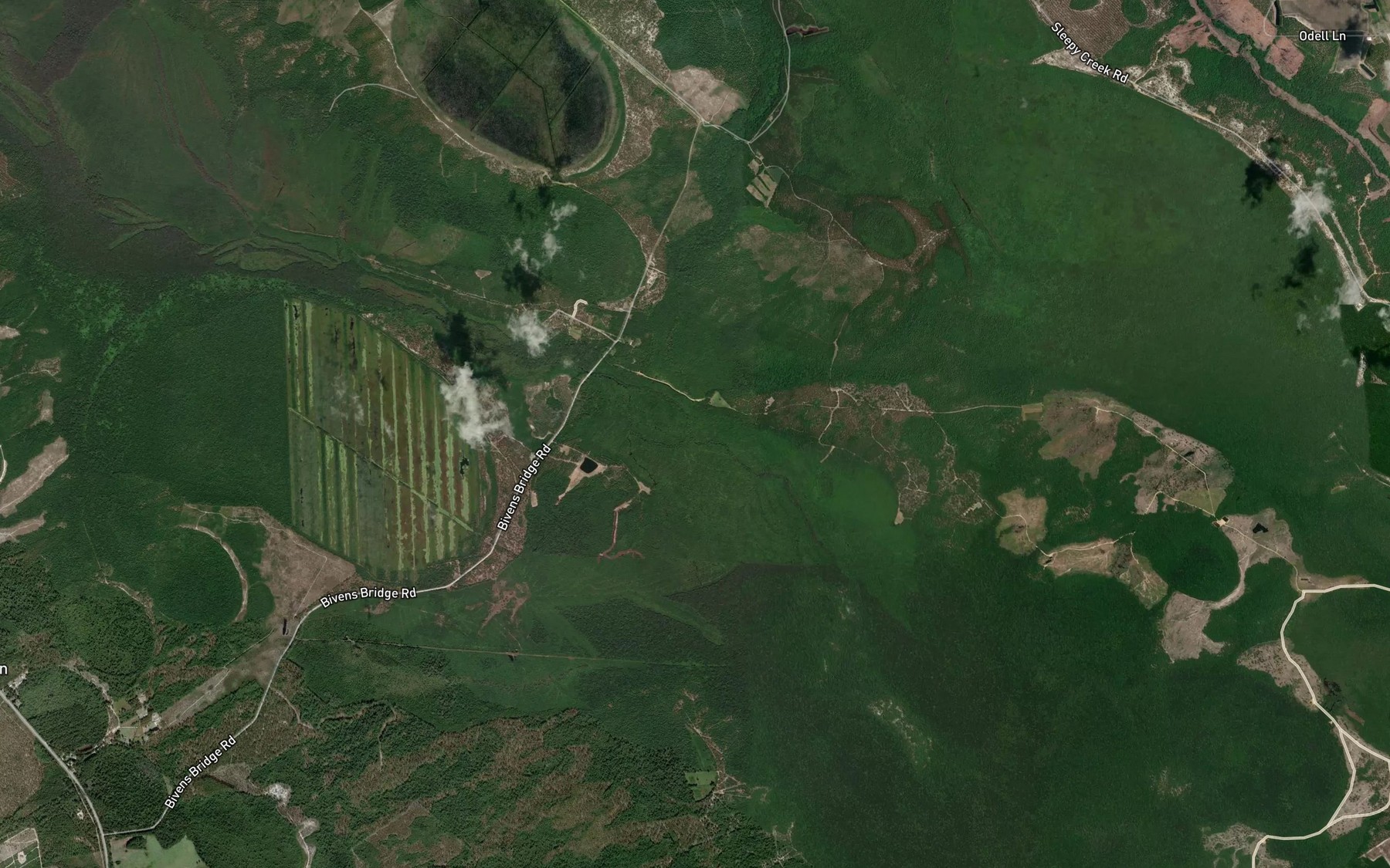 Satellite map of the Johns Swamp Branch