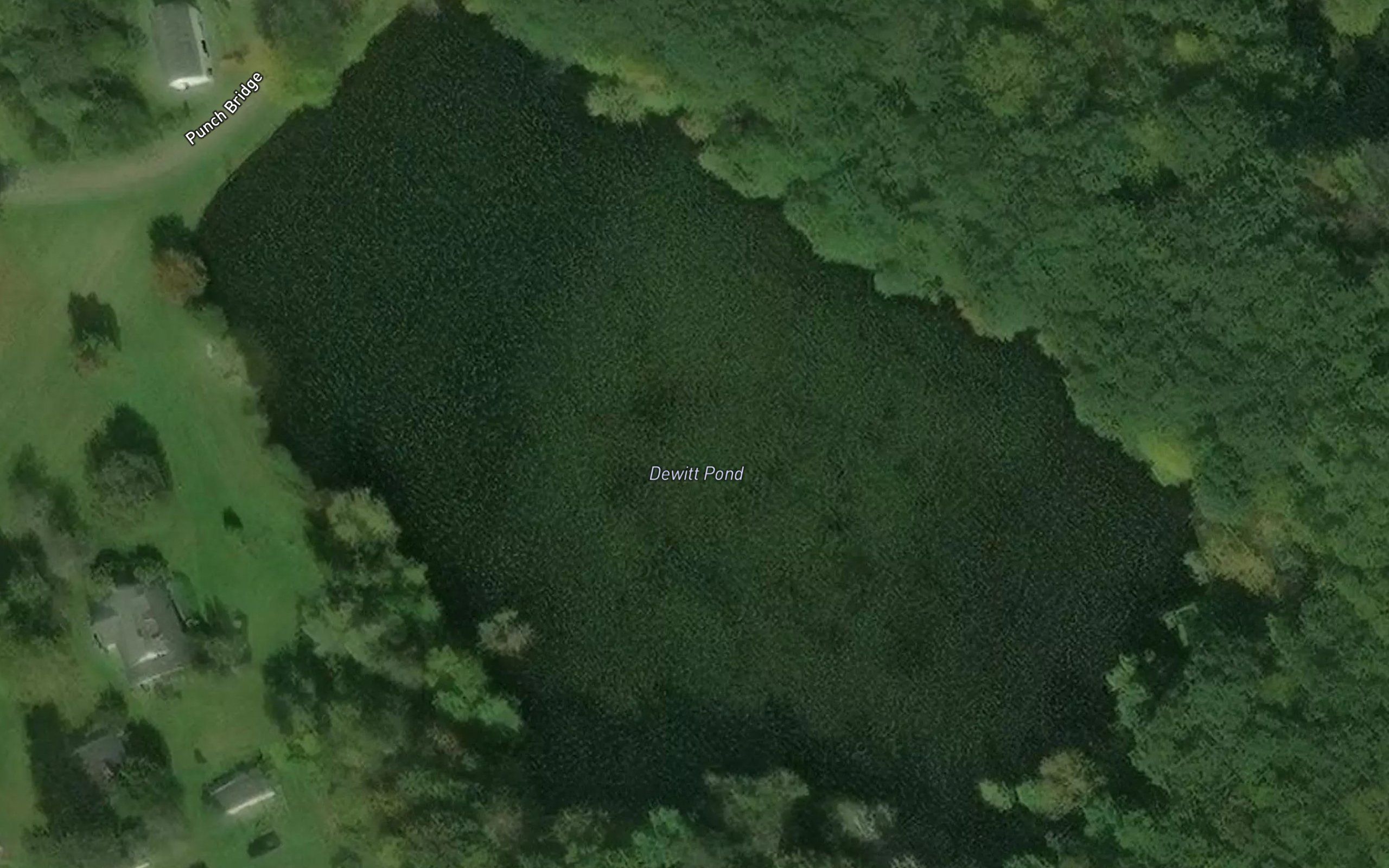 Dewitt Pond