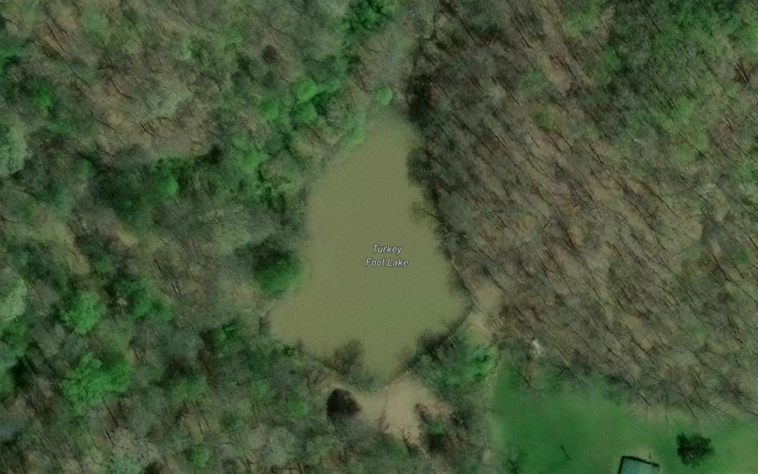 Turkey Foot Lake