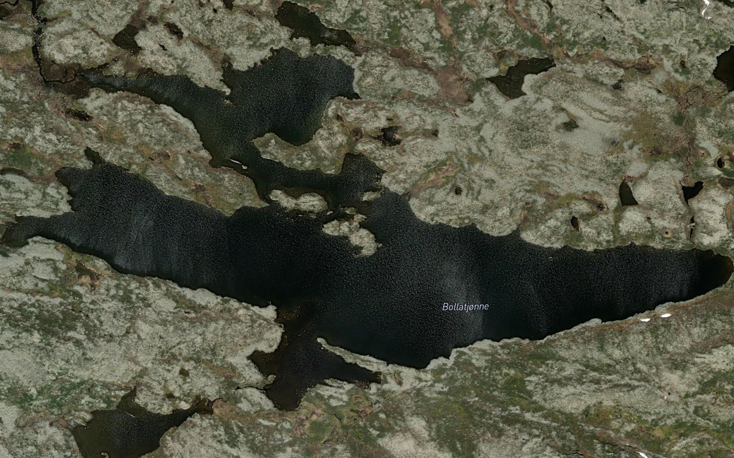 Bollatjonne