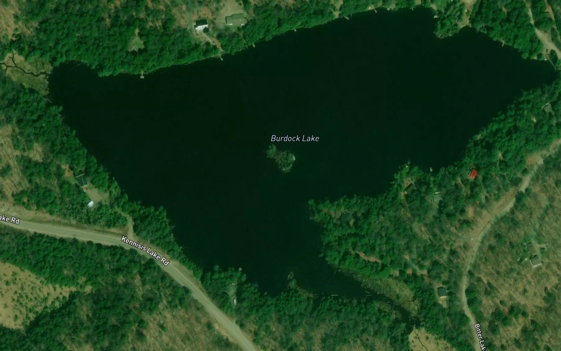 Satellite map of the Burdock Lake