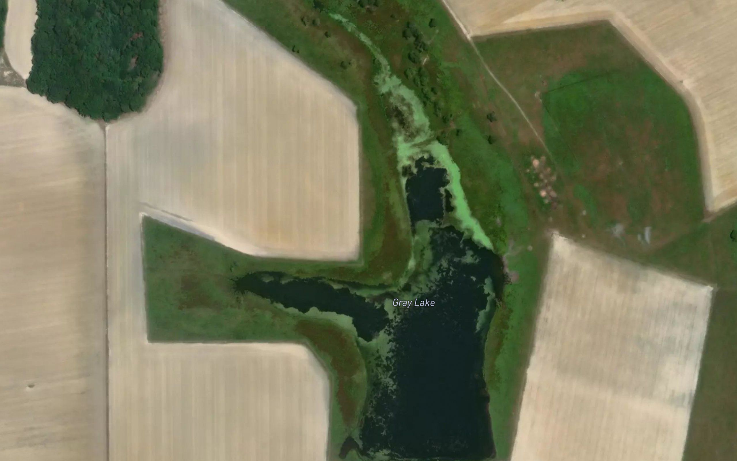 Gray Lake