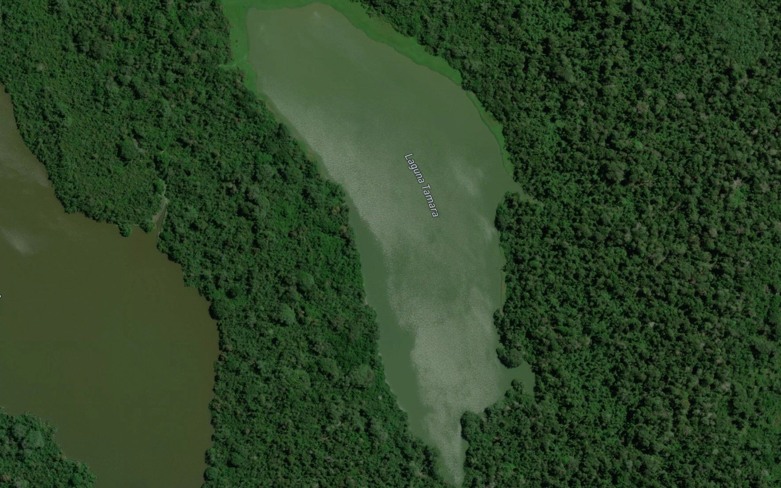 Laguna Tamara