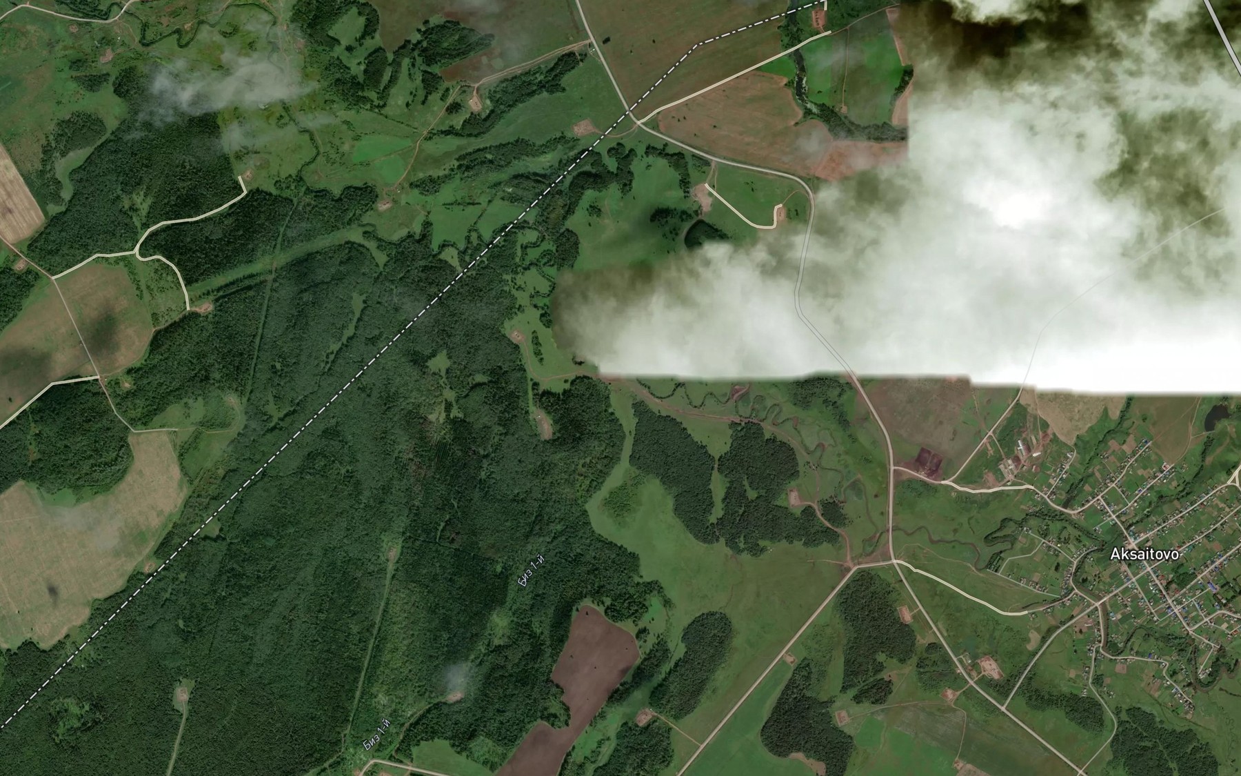 Satellite map of the Biz Pervyy