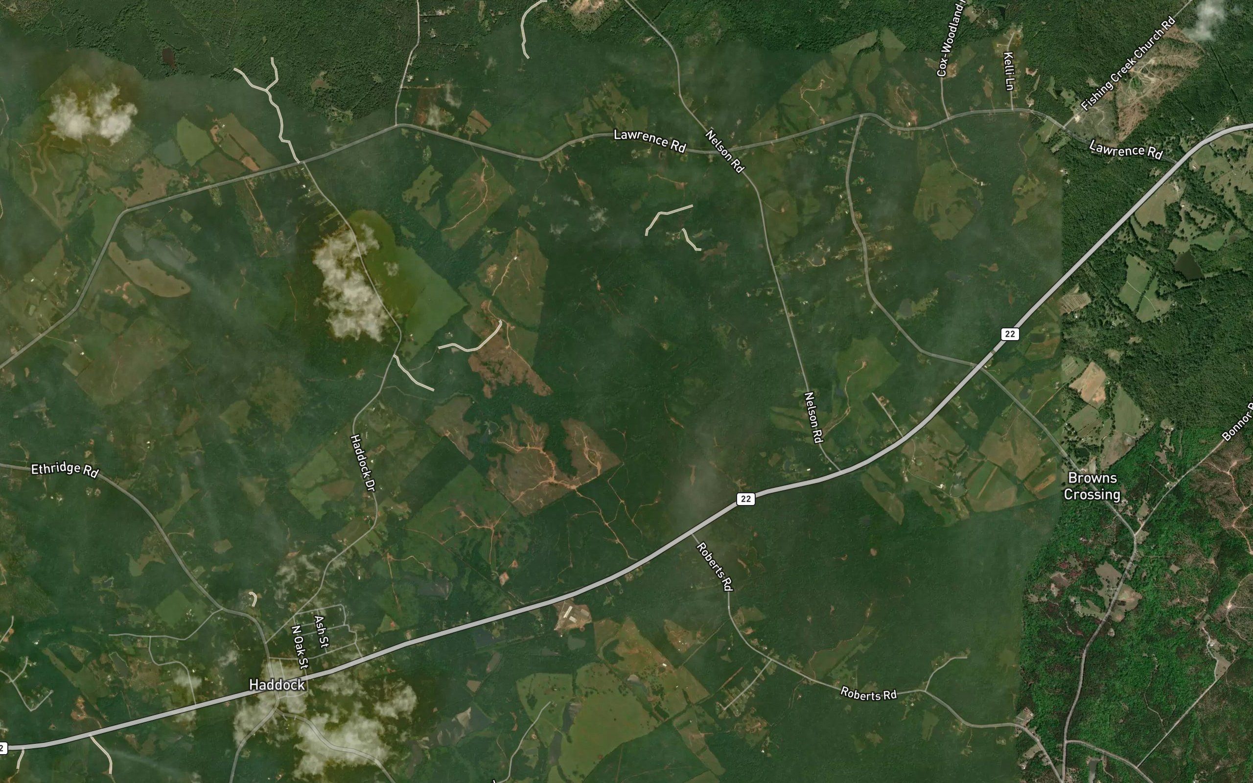 Tyson Branch