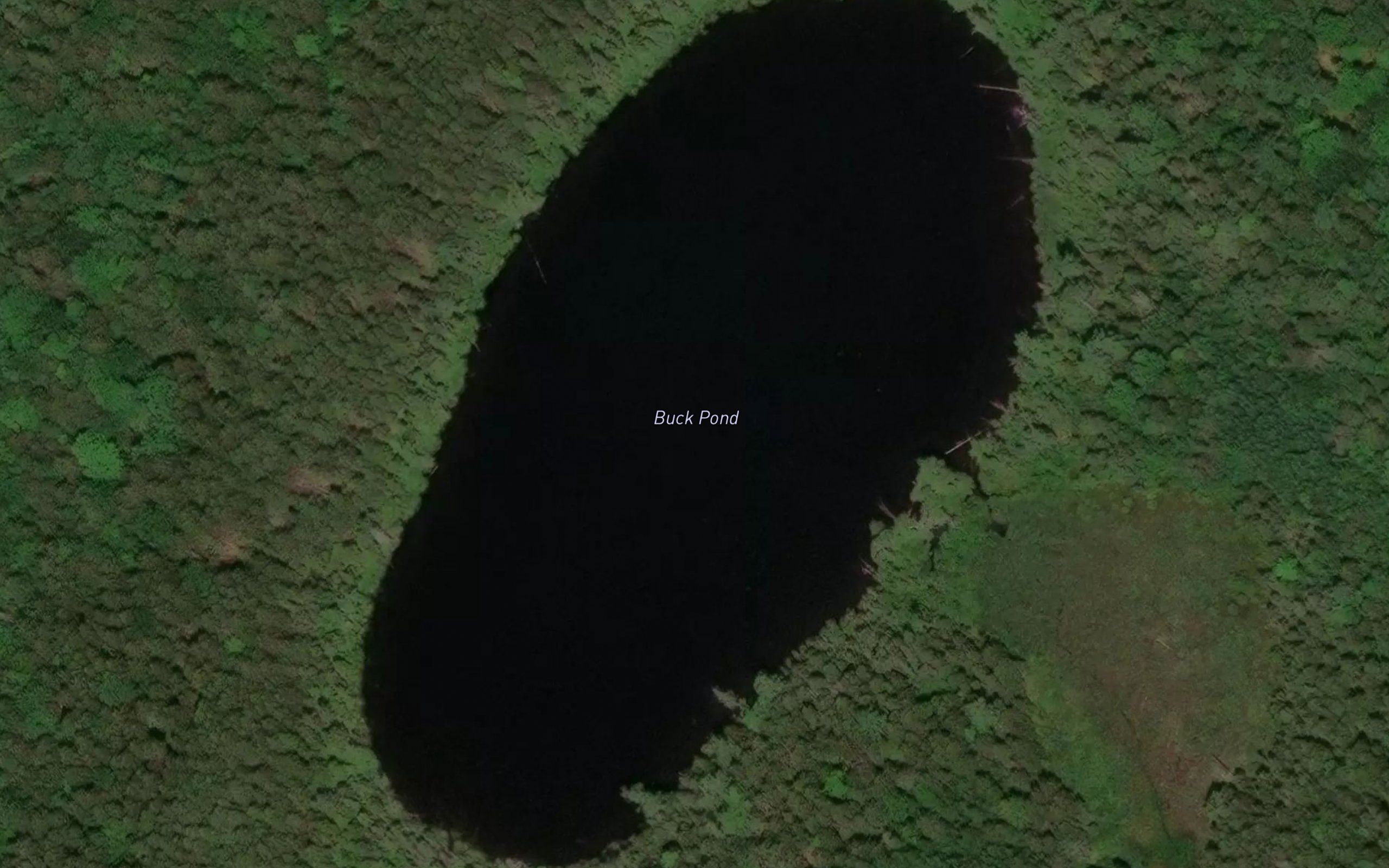 Buck Pond
