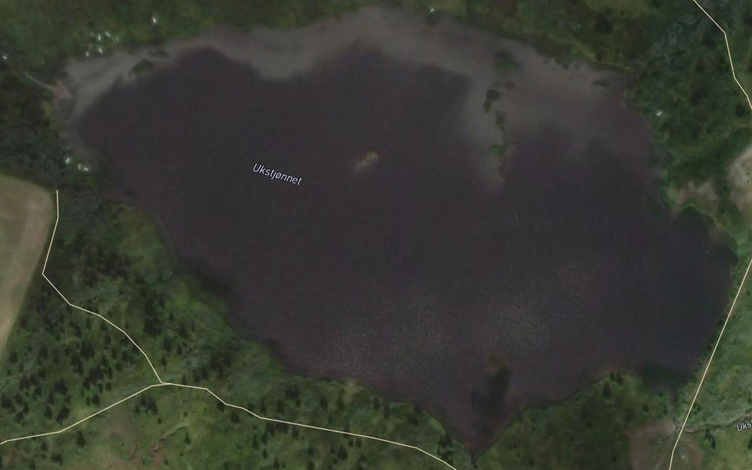 Okstjornet
