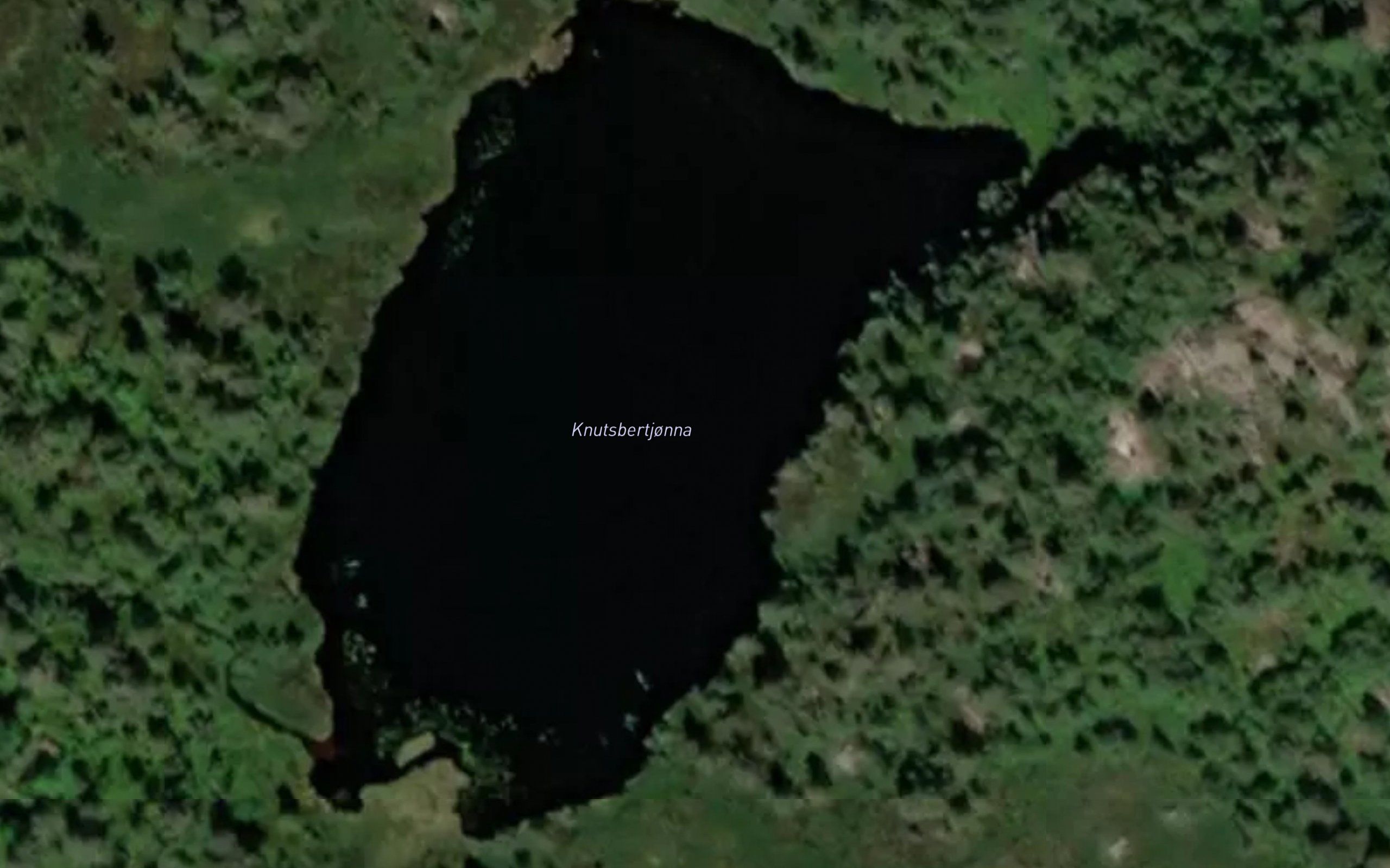Knutsbertjonna