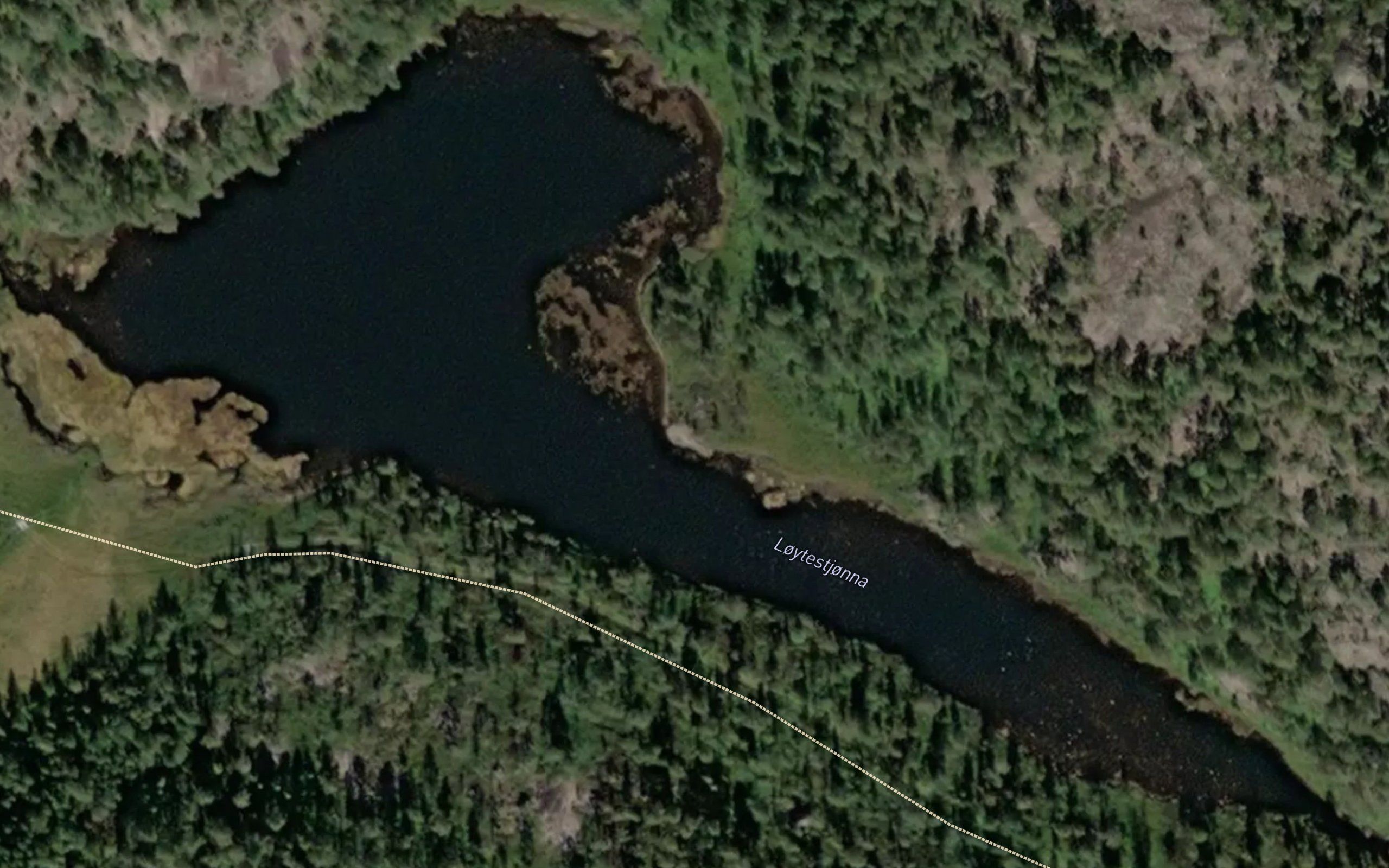 Loytedalstjornane