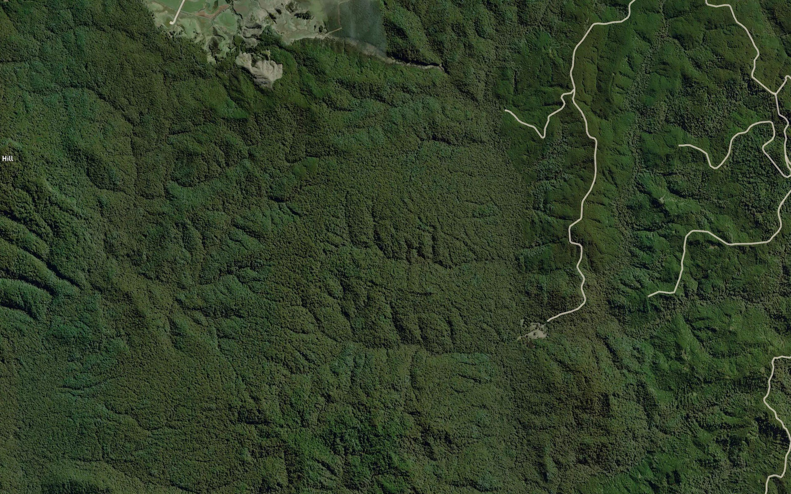 Basin Creek