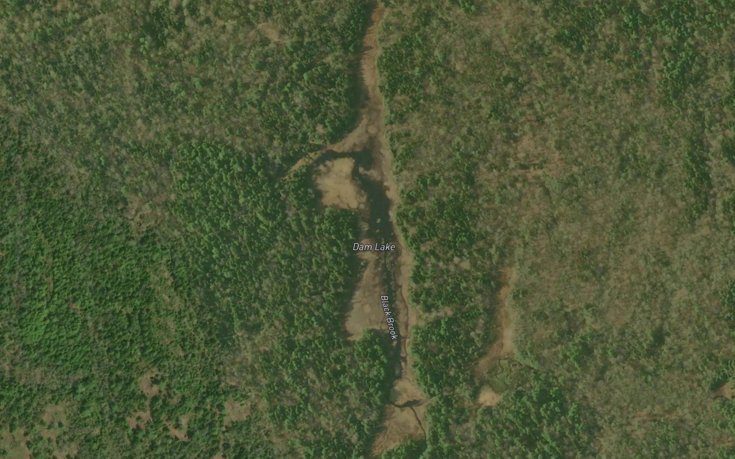Dam Lake