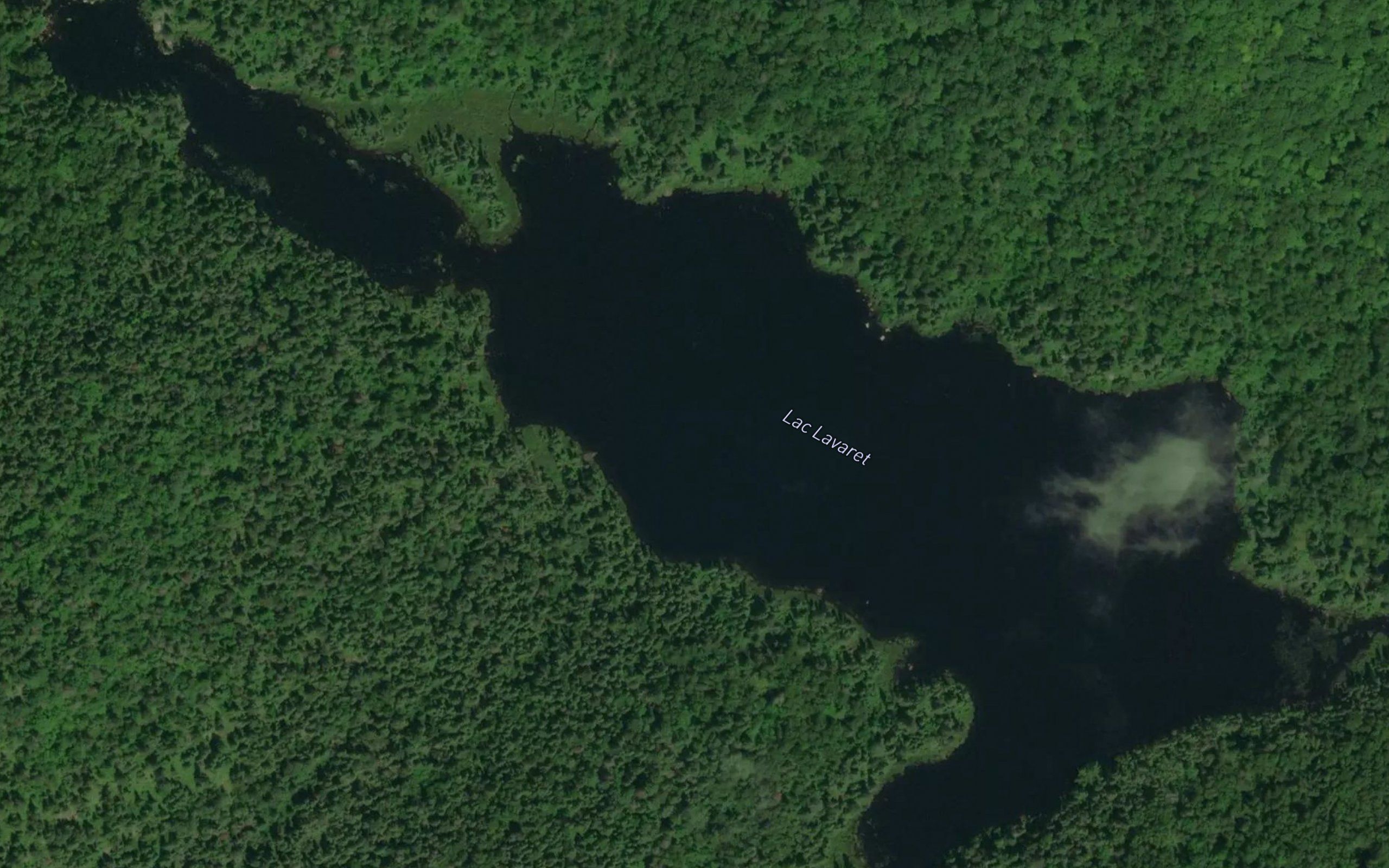 Lac Lavaret