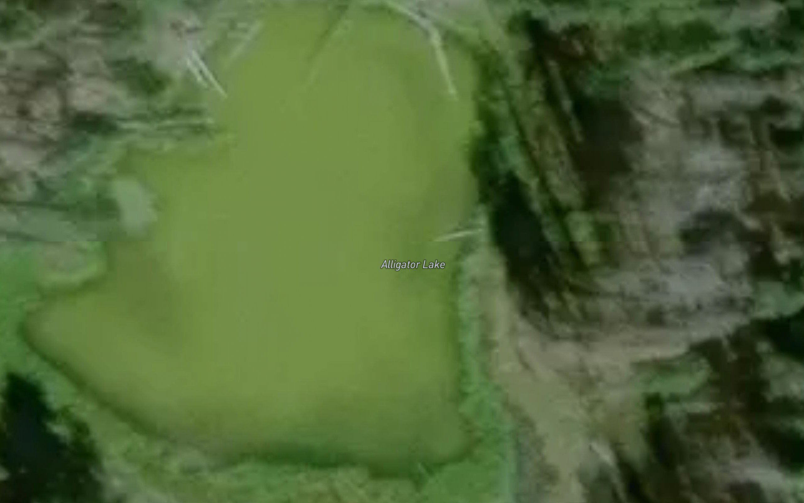 Alligator Lake