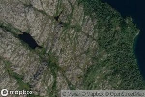 Ringatjorna