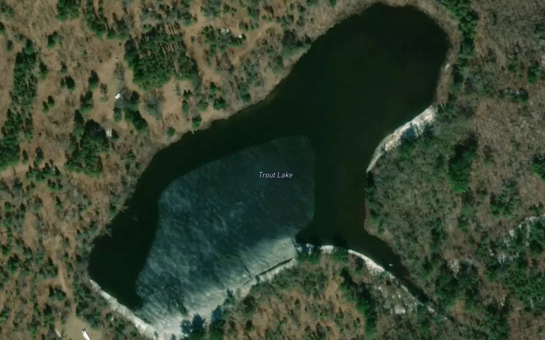 Satellite map of the Trout Lake