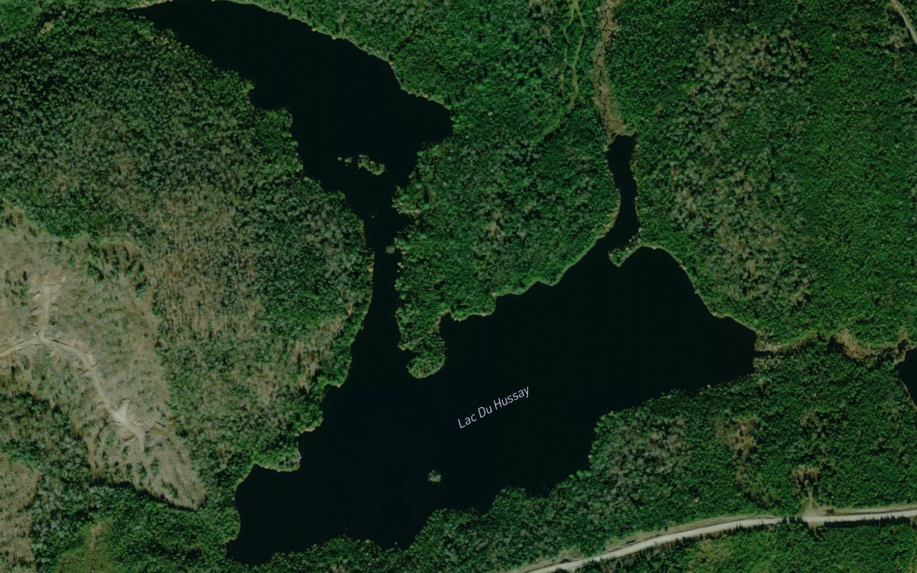 Satellite map of the Lac Du Hussay