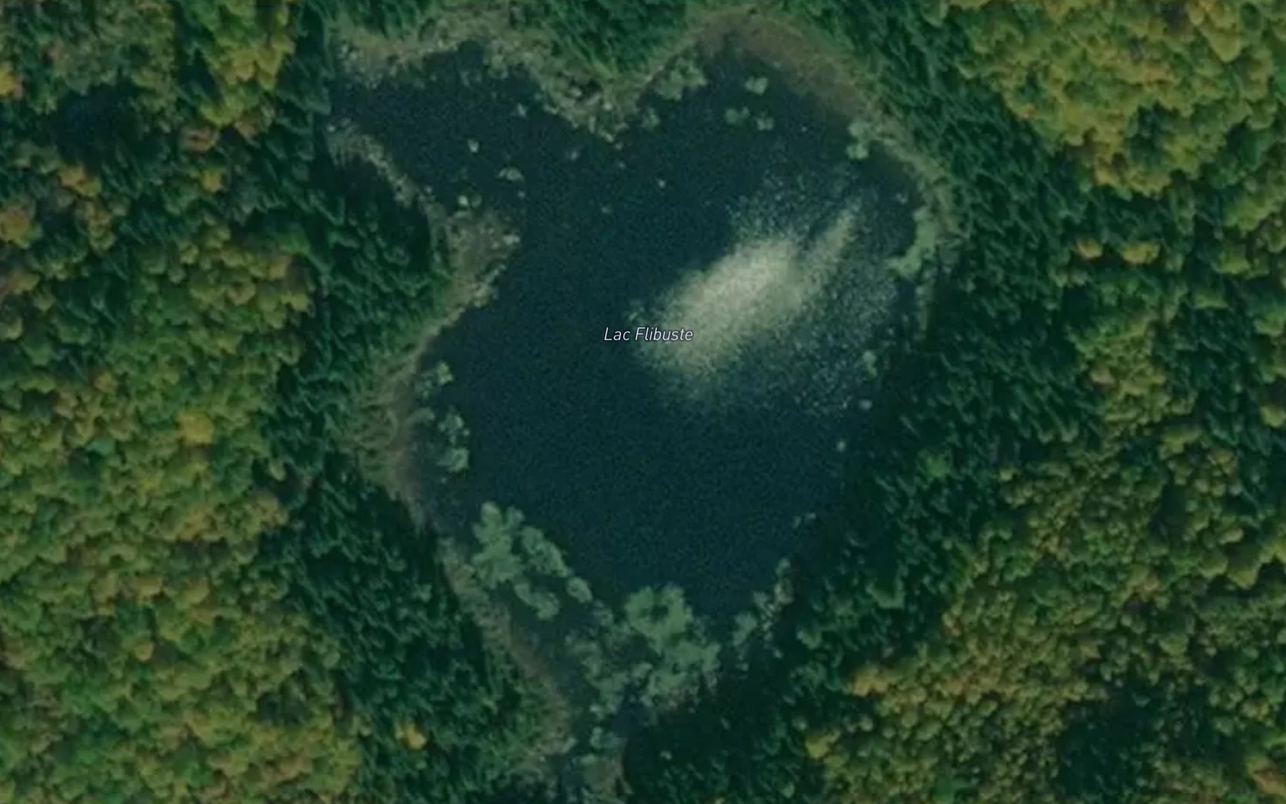 Satellite map of the Lac Flibuste