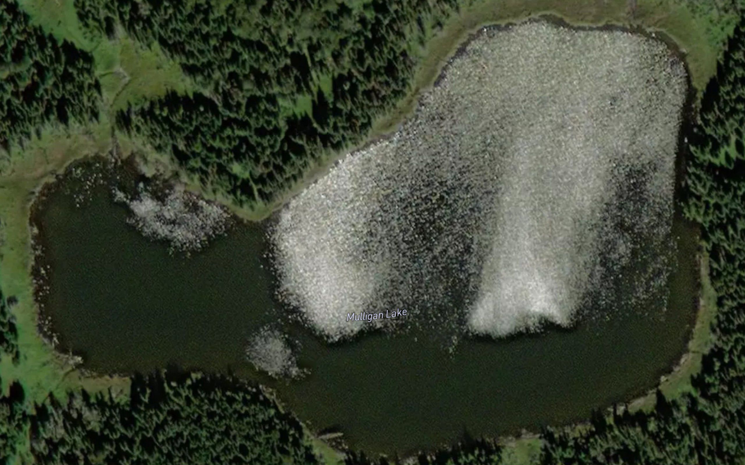 Mulligan Lake