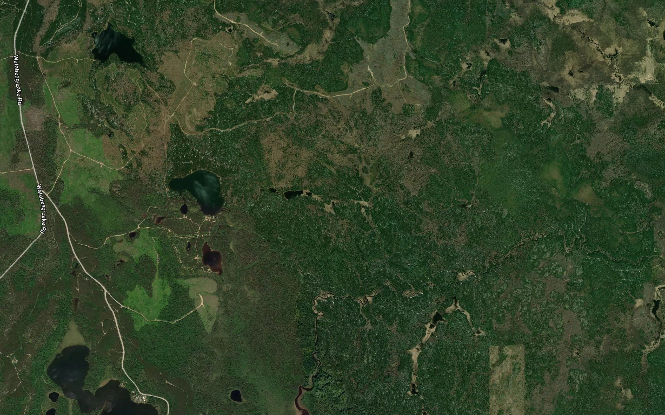 Foy Lake