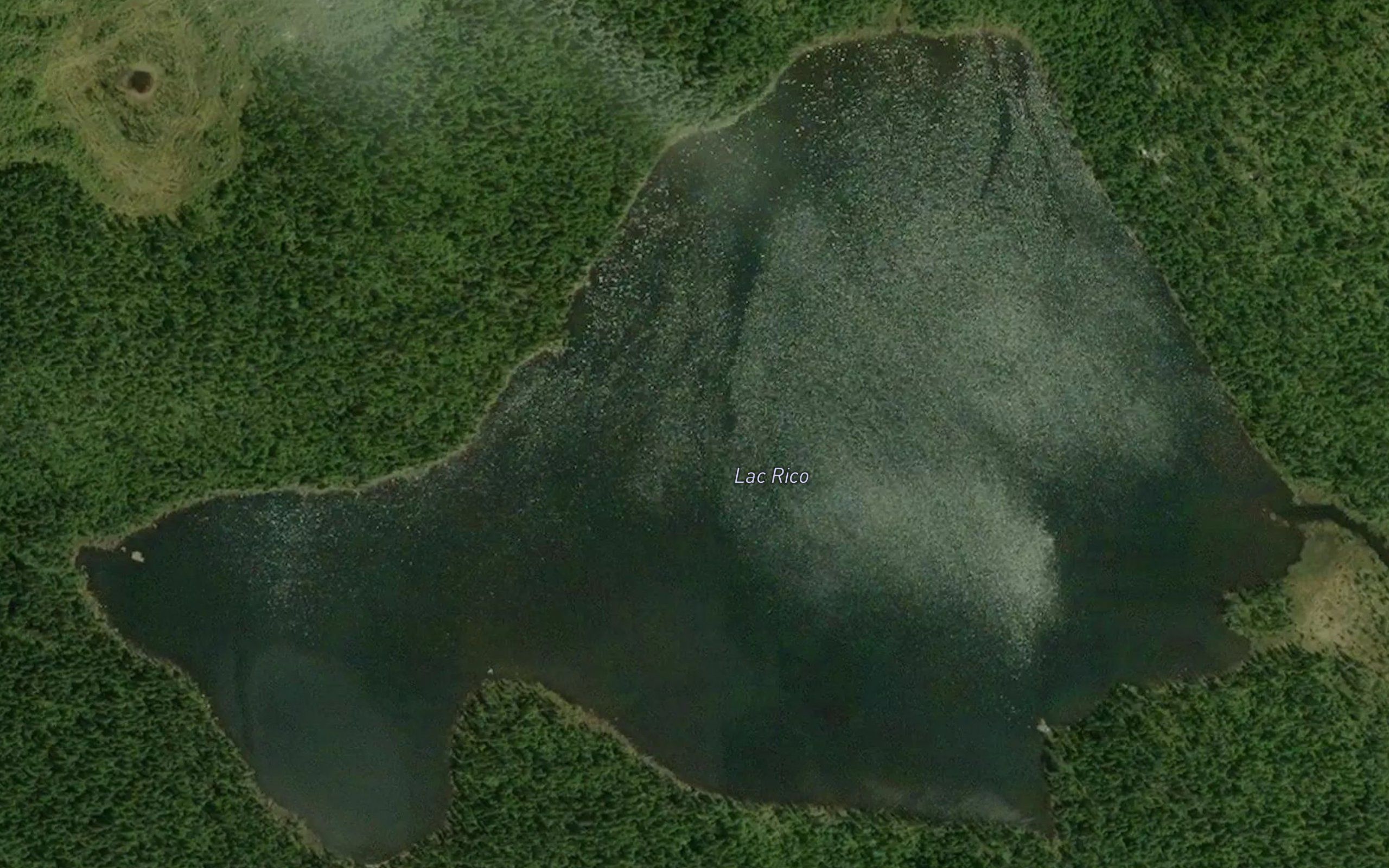 Lac Rico