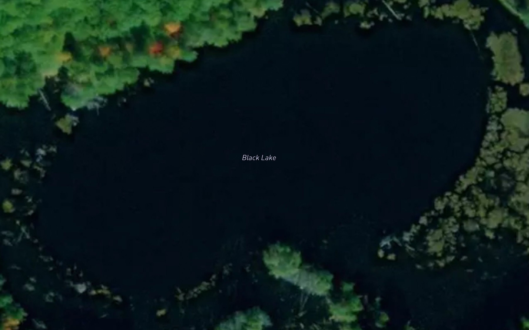 Satellite map of the Black Lake