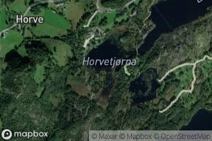 Horvetjorna
