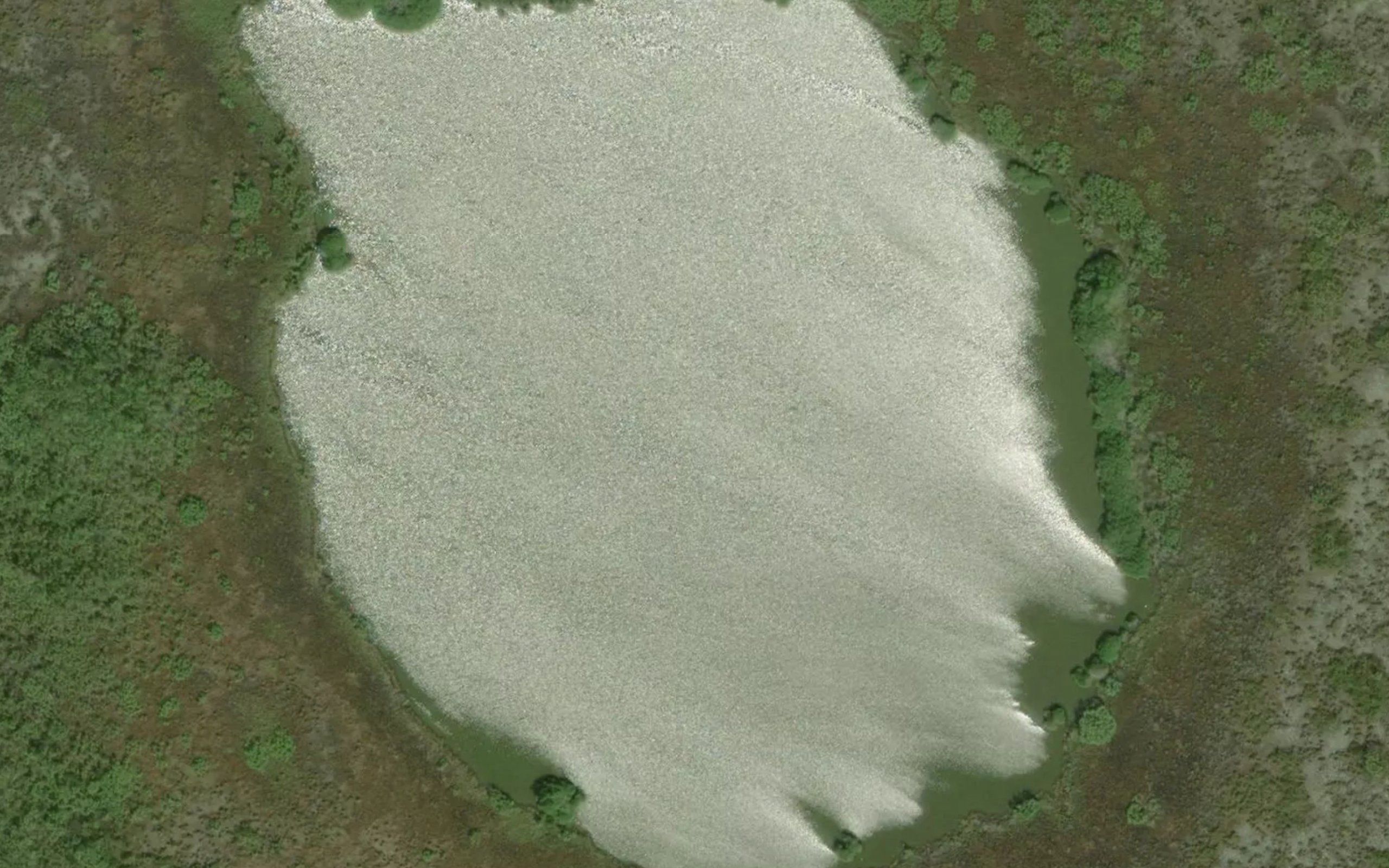 Laguna Lugones