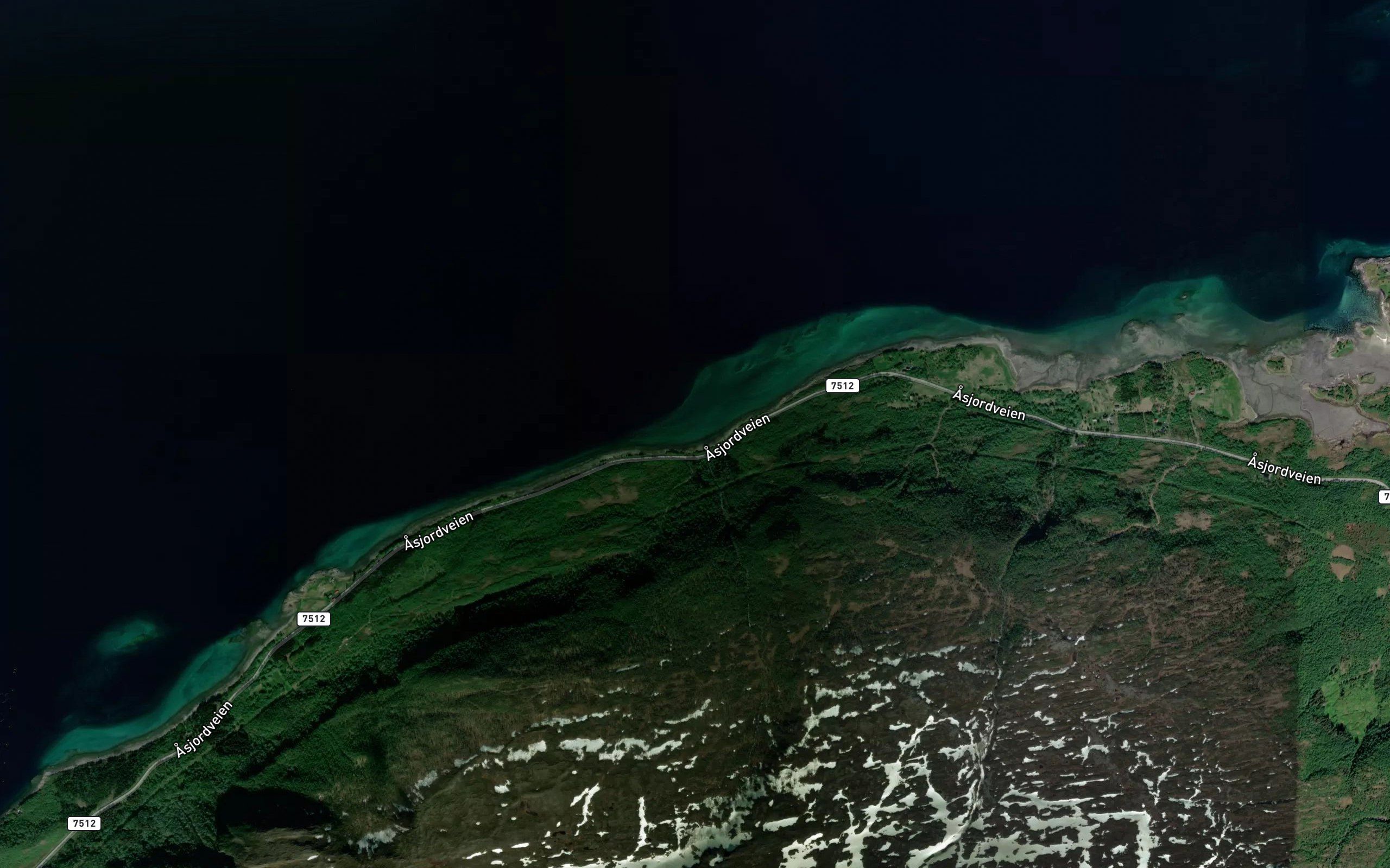 Juvika