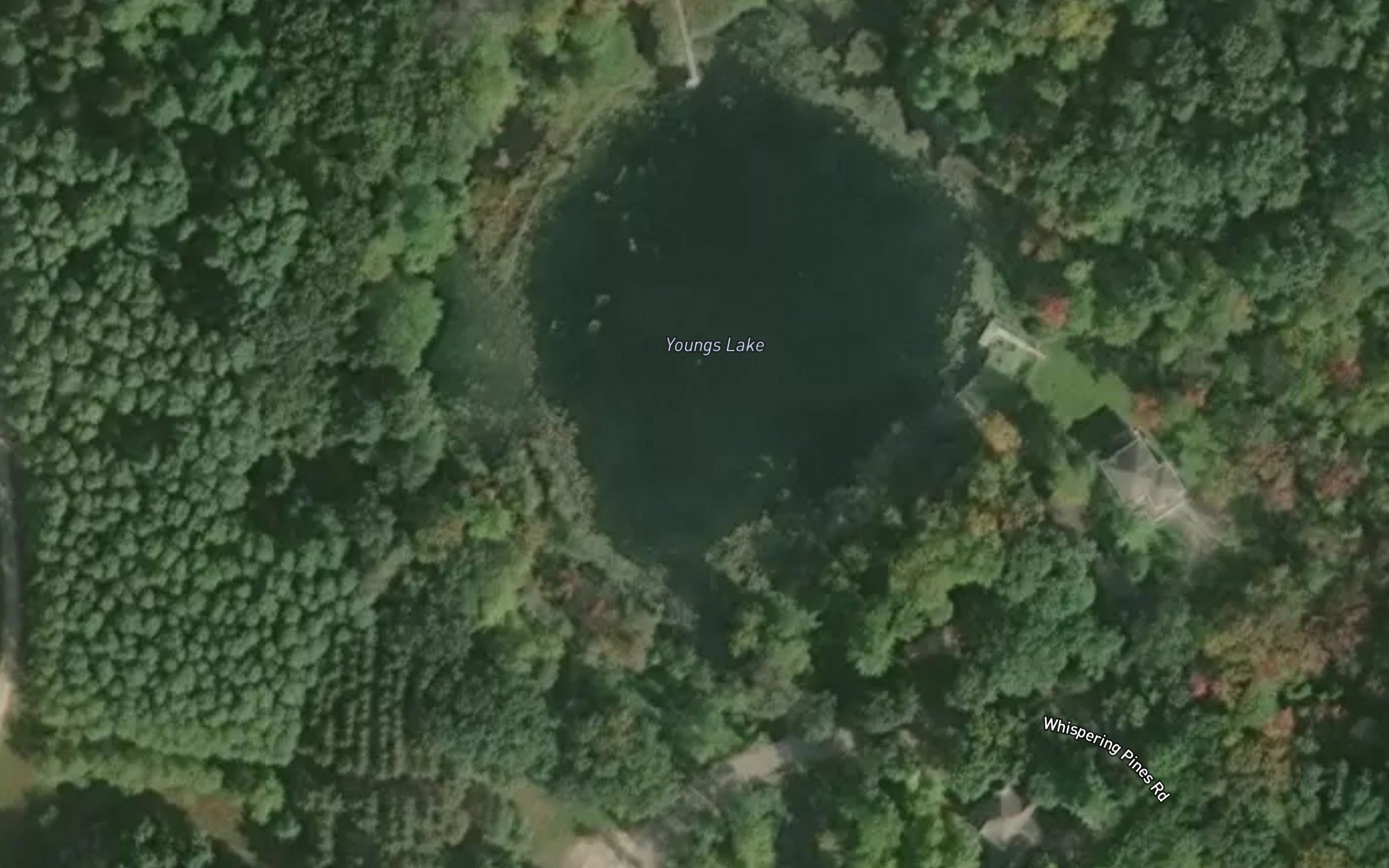 Youngs Lake