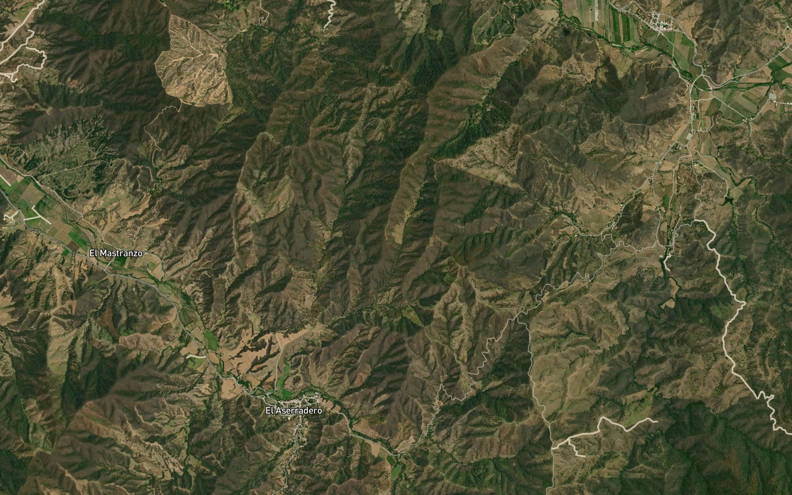 Barranca Seca