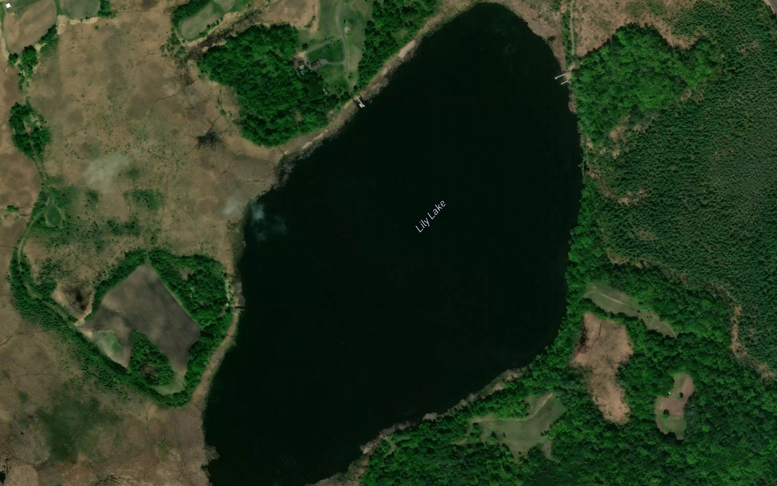 Lily Lake