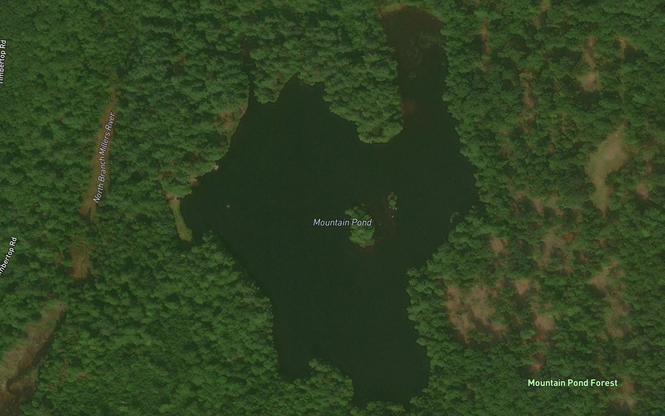 Mountain Pond