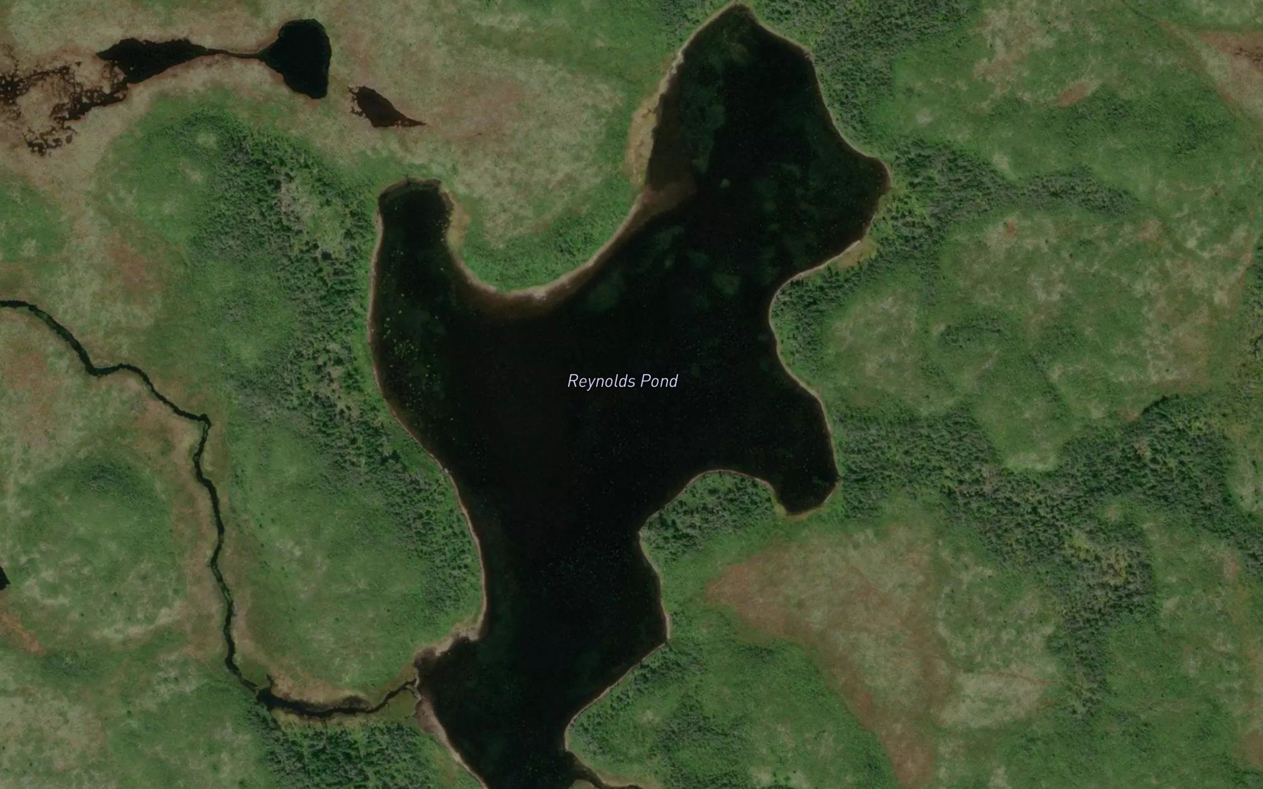 Reynolds Pond
