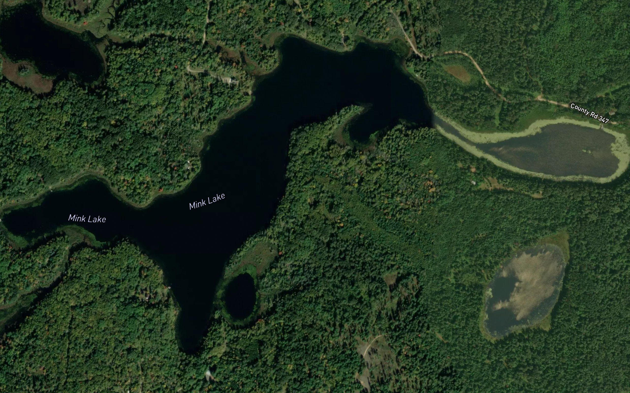 Mink Lake