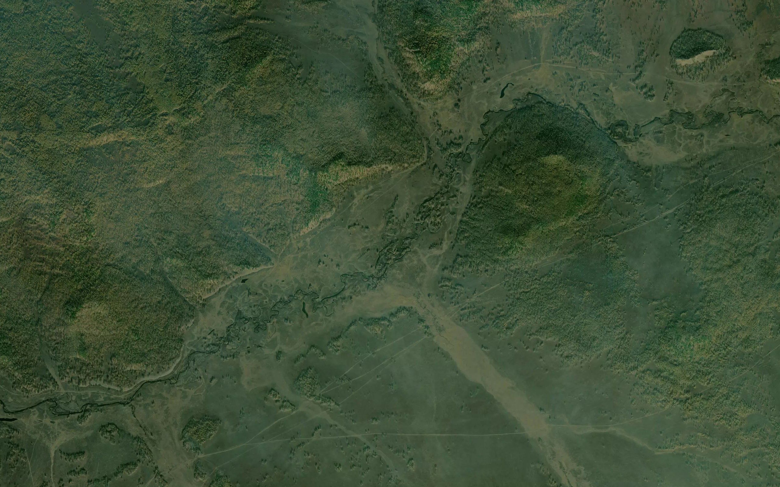 Uniuk