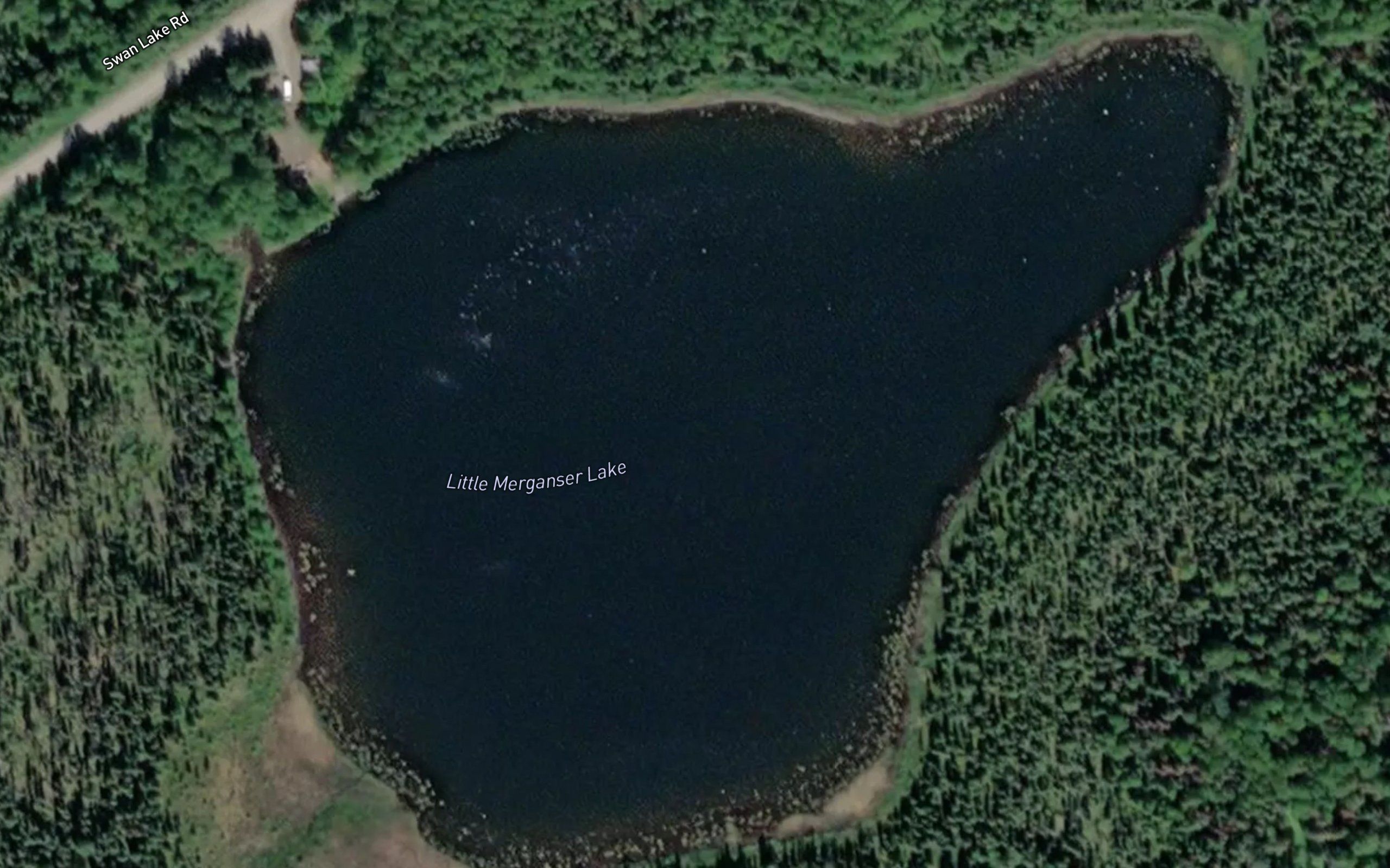 Little Merganser Lake