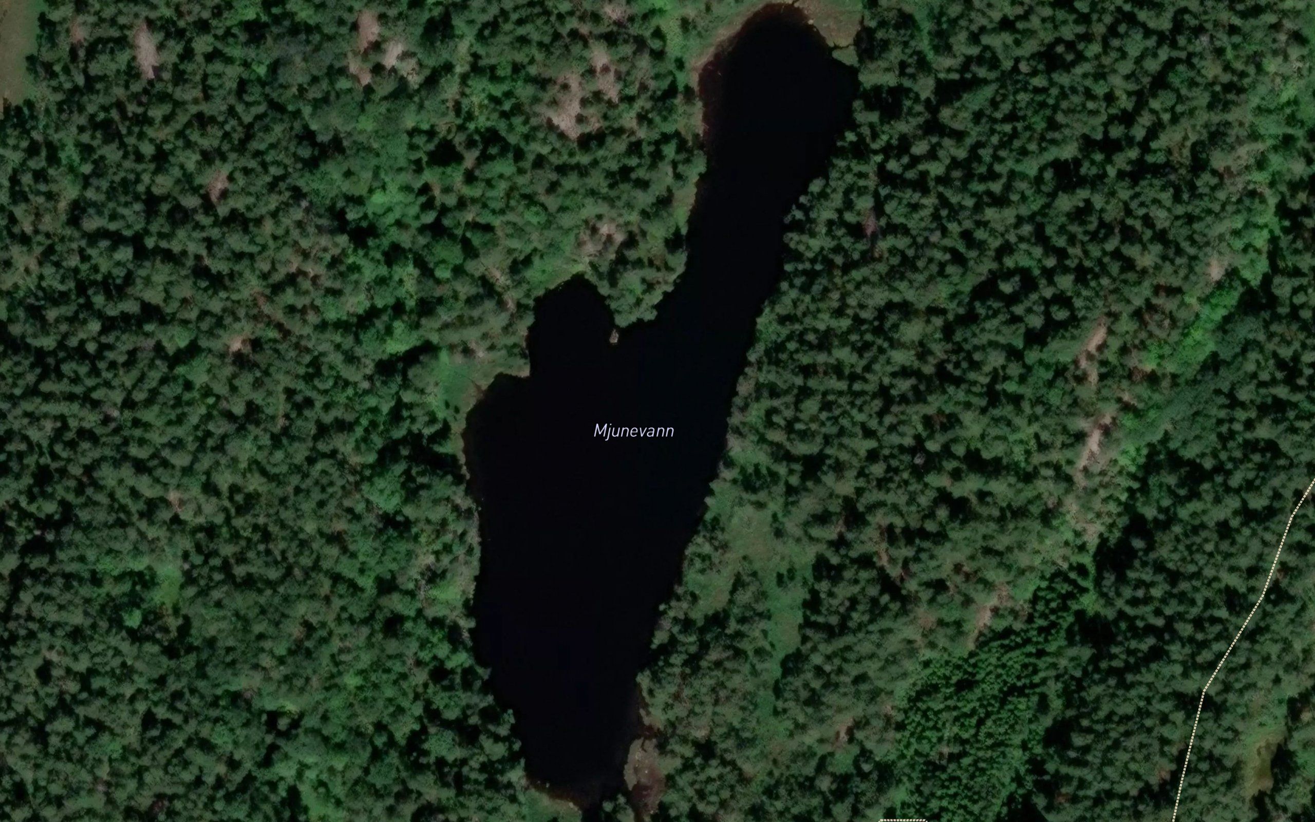 Mjunevannet