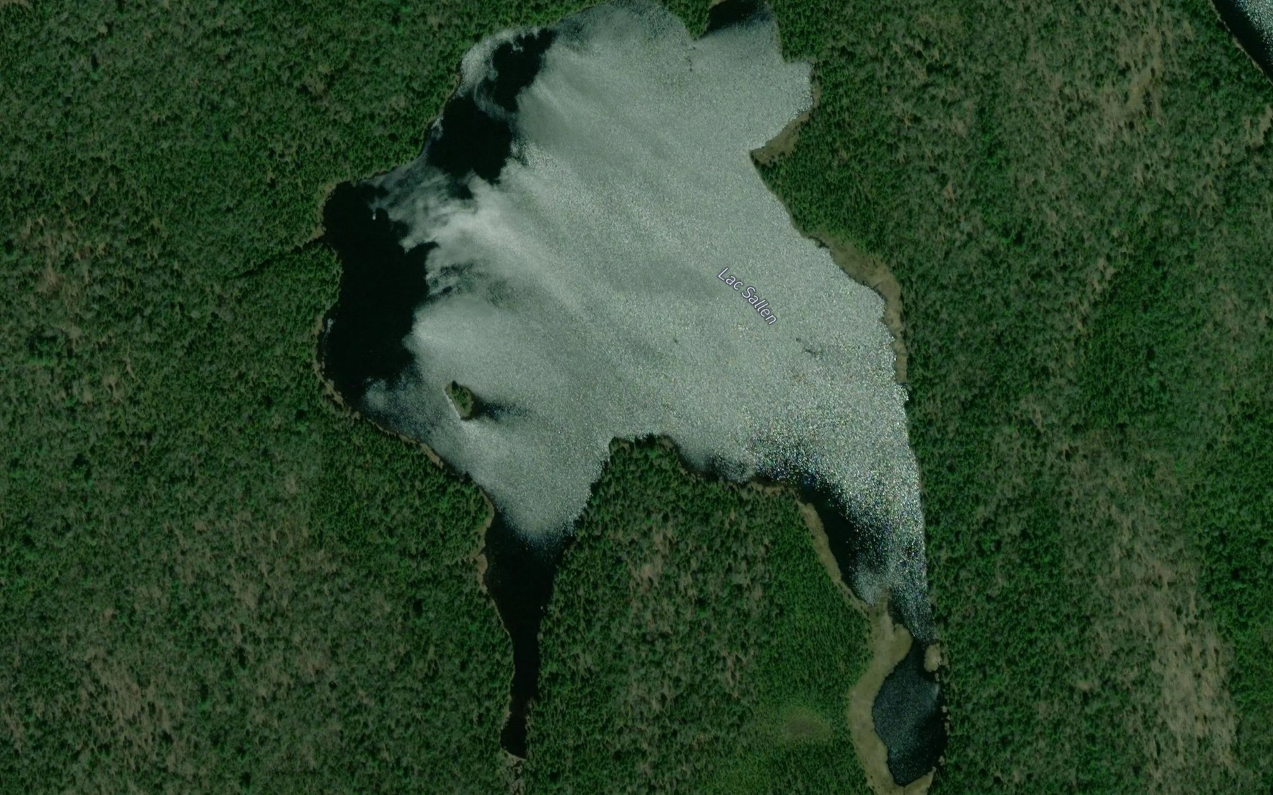 Satellite map of the Lac Sallen